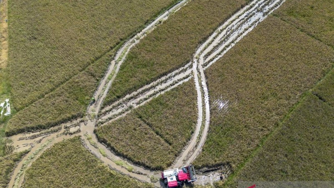 Indonesia berkomitmen penuh untuk mewujudkan ketahanan pangan melalui Sustainable Agriculture, didukung teknologi dan optimalisasi lahan, guna mencapai swasembada pangan nasional.