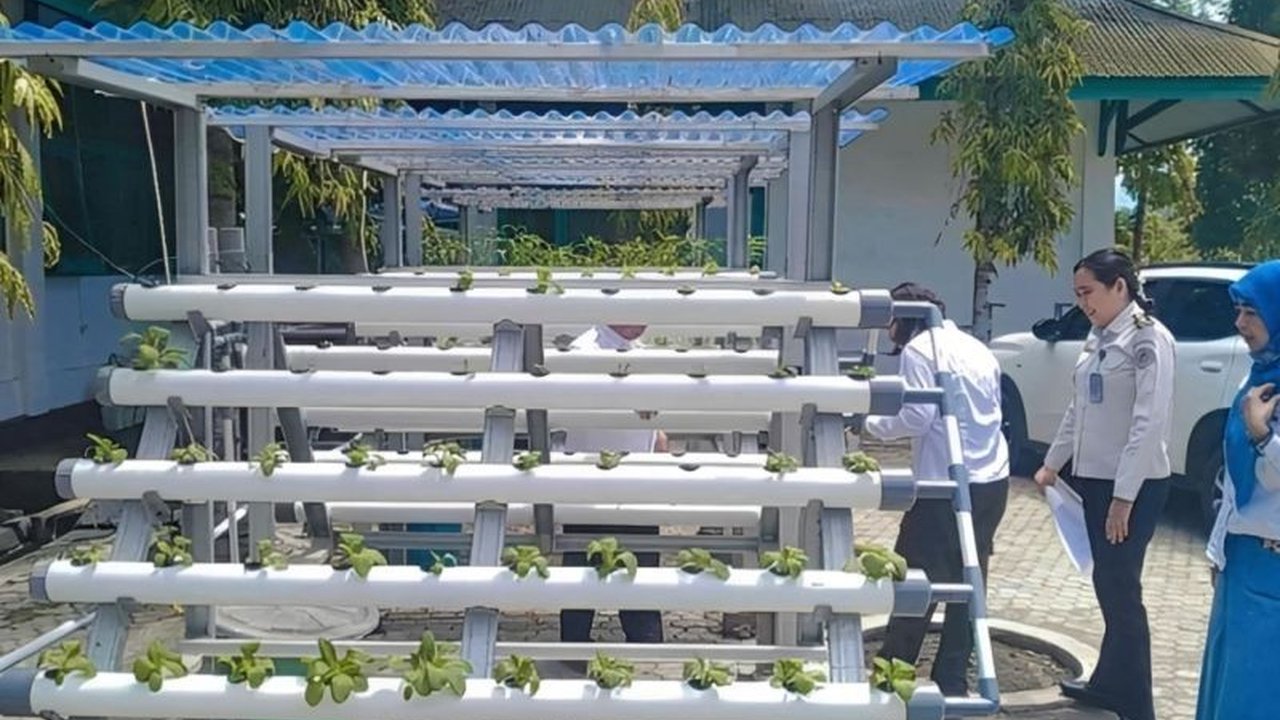 Kolaborasi LPKA Palu DPKP semakin erat dalam mendukung pembinaan anak binaan melalui program ketahanan pangan, membekali mereka keterampilan hidroponik modern yang bermanfaat di masa depan.