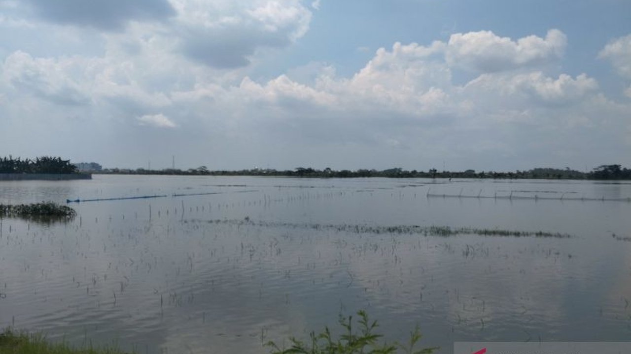 Banjir Demak akibat curah hujan tinggi dan tanggul jebol menyebabkan 671 hektare sawah terendam, ribuan rumah dan fasilitas umum terdampak, serta ribuan warga mengungsi.