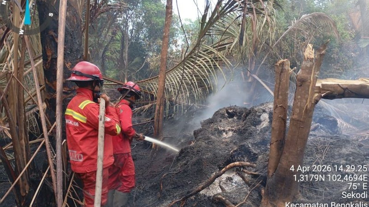 Tim Manggala Agni terus berjibaku memadamkan Karhutla Bengkalis Riau yang melanda lima desa di Kecamatan Bantan dan Desa Titi Akar, Rupat Utara, menghadapi kendala minimnya air dan api gambut. Ini adalah perjuangan tak kenal lelah di tengah kondisi sulit.
