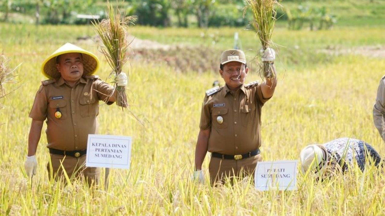 Pemerintah Kabupaten Sumedang menguji coba metode Tabela untuk revolusi pertanian. Akankah inovasi ini berhasil meningkatkan produktivitas dan kesejahteraan petani di Sumedang?