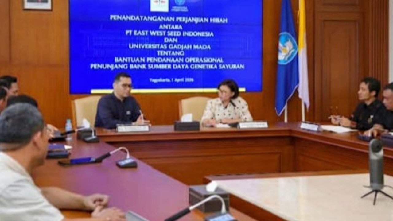 Kolaborasi PT East West Seed Indonesia (Ewindo) dan Universitas Gadjah Mada (UGM) kembali diperkuat untuk melestarikan Bank Genetik Sayuran Indonesia, krusial demi ketahanan pangan dan adaptasi terhadap krisis iklim.