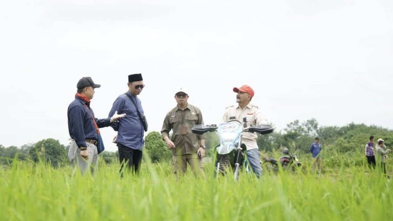 Dinas Pertanian dan Ketahanan Pangan Provinsi Kalimantan Selatan (DPKP Kalsel) perkuat irigasi sawah sepanjang 13 kilometer untuk hadapi potensi kemarau panjang 2026, memastikan ketahanan pangan daerah.