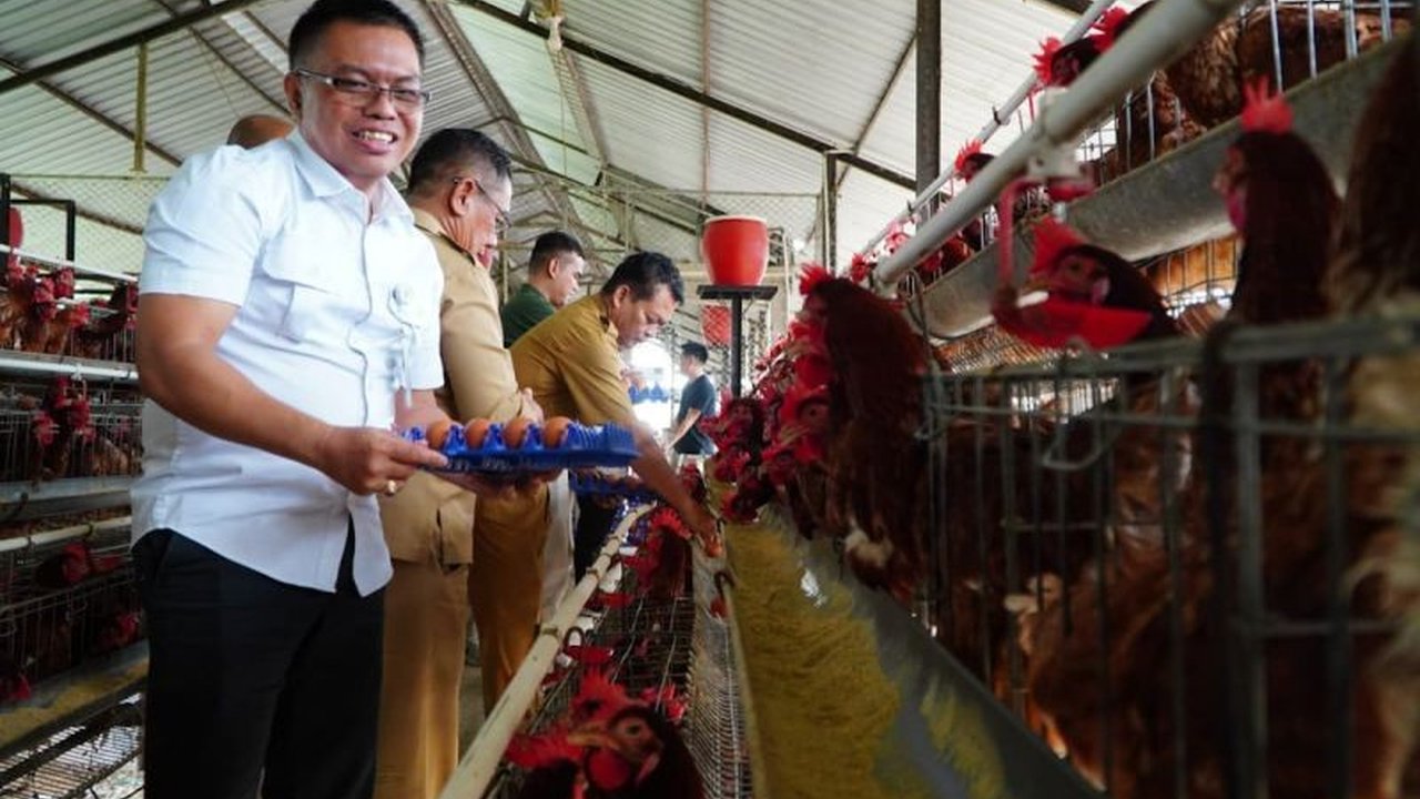 Badan Pangan Nasional (Bapanas) mengambil langkah strategis menjaga stabilitas harga ayam hidup usai Lebaran 2026, bersinergi dengan pelaku usaha bibit ayam dan pakan untuk melindungi peternak kecil dari pelemahan harga.