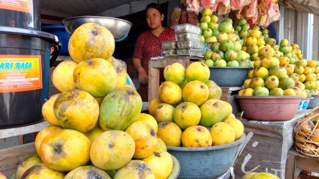 Pemerintah Kabupaten Sumedang serius menggarap potensi hortikultura, khususnya mangga dan cabai, melalui program HDDAP. Akankah pengembangan hortikultura Sumedang ini mampu menembus pasar ekspor dan meningkatkan kesejahteraan petani?
