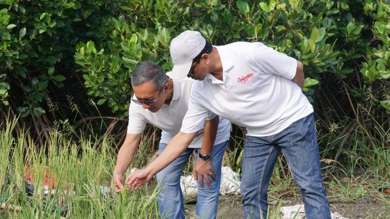 Institut Teknologi Sepuluh Nopember (ITS) dan BRIDA Surabaya berkolaborasi menginisiasi **Laboratorium Hidup Mangrove** di Kebun Raya Mangrove, memperkuat riset dan inovasi pelestarian ekosistem pesisir.
