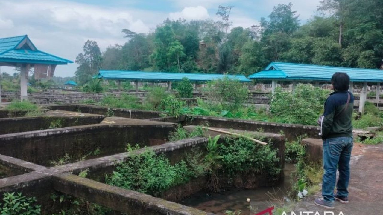 Pemerintah Kabupaten Rejang Lebong siapkan revitalisasi kolam terbengkalai, termasuk BBI Belumai I, sebagai proyek percontohan. Langkah ini diharapkan mampu dongkrak PAD dan hidupkan kembali potensi perikanan daerah.