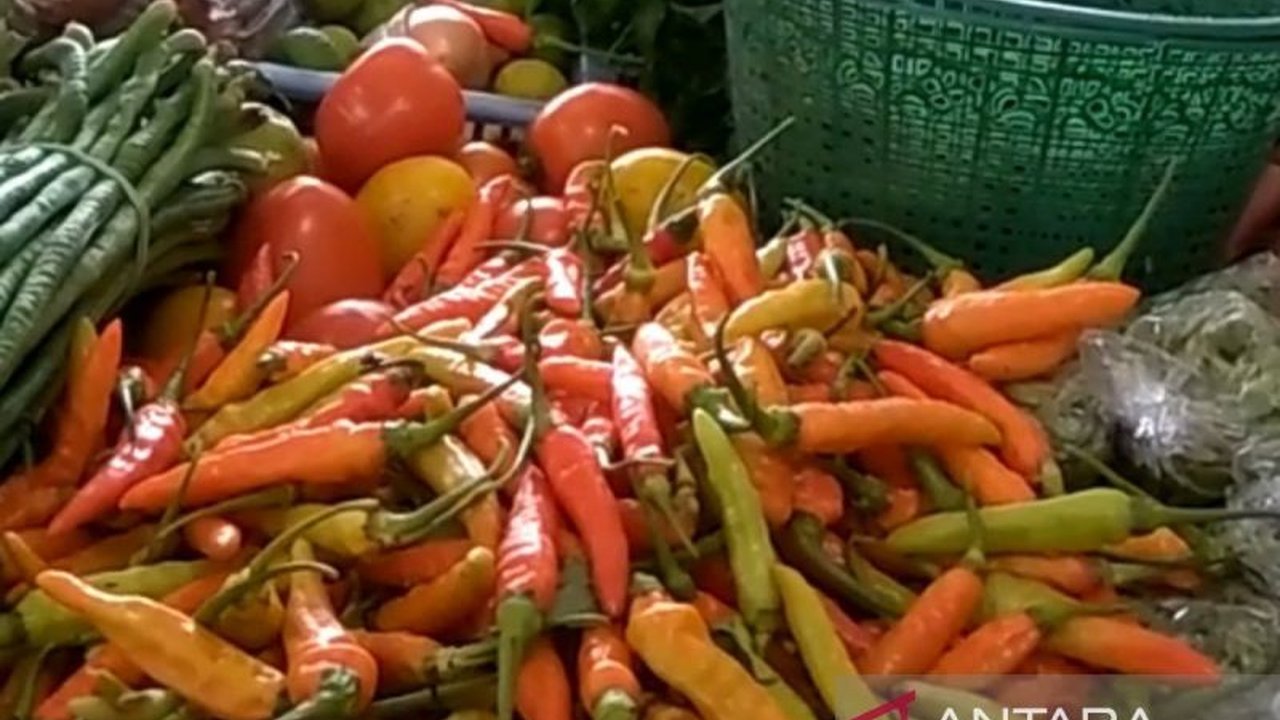 Harga cabai rawit merah di Purwokerto tetap tinggi pasca-Lebaran 2026. Fluktuasi harga ini dipicu oleh faktor cuaca ekstrem yang mengganggu pasokan dari petani, sehingga memicu rasa penasaran pembaca.