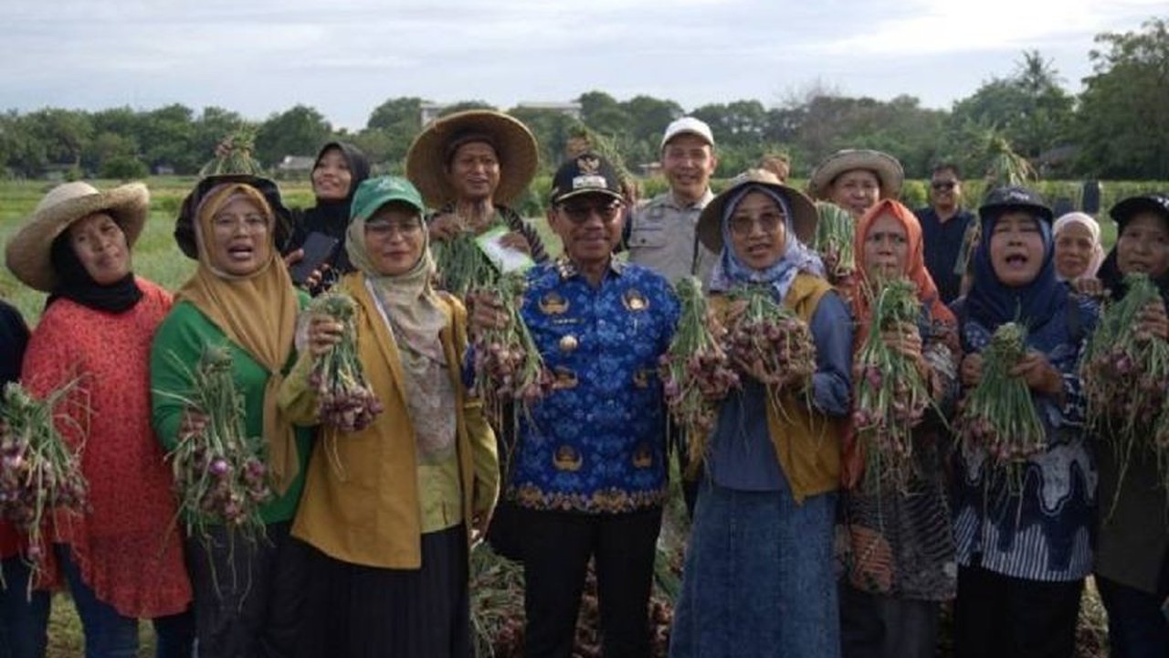 Anggota DPRD Kota Tangerang mendorong pengembangan Urban Farming Tangerang demi memperkuat ketahanan pangan lokal dan kemandirian masyarakat, dengan program yang telah menunjukkan hasil nyata sepanjang tahun 2025.
