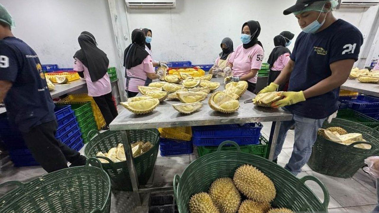 Kamar Dagang dan Industri (Kadin) Parigi Moutong menginisiasi transformasi ekonomi besar di Sulawesi Tengah melalui pengembangan industri durian dari hulu hingga hilir, menargetkan 10 juta pohon produktif dan ribuan lapangan kerja.