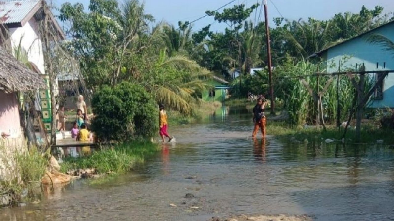 Bencana Banjir Deliserdang menyebabkan puluhan warga mengungsi setelah tanggul di Kecamatan Hamparan Perak jebol. Pusdalops PB Sumut mencatat 35 jiwa terdampak, dengan upaya penanganan terus dilakukan. Simak detail penanganan dan dampak terkini.