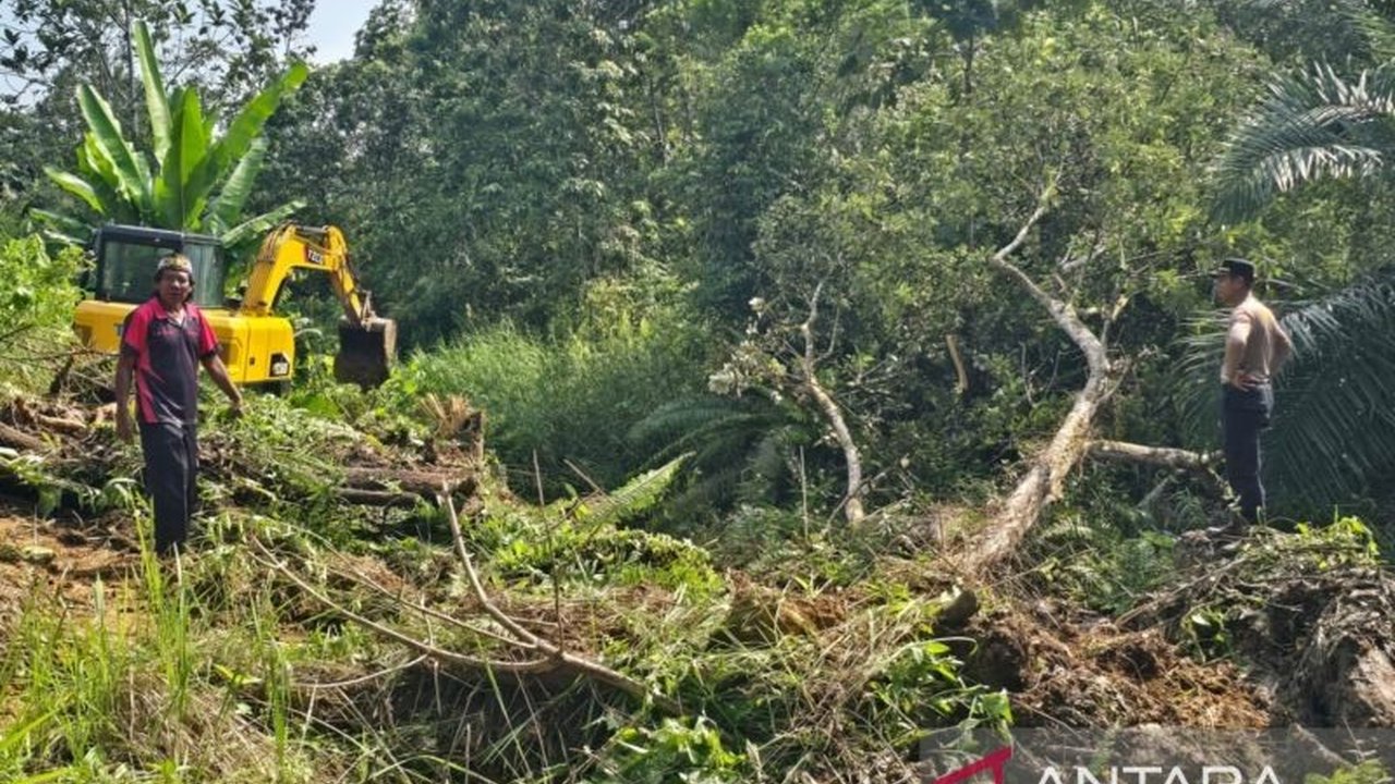 Kolaborasi strategis antara Kepolisian dan Pemerintah Desa Sukomulyo di Sepaku menyiapkan 10 hektare lahan untuk ditanami jagung hibrida, mendukung Swasembada Pangan IKN dan ketahanan nasional. Simak detailnya!