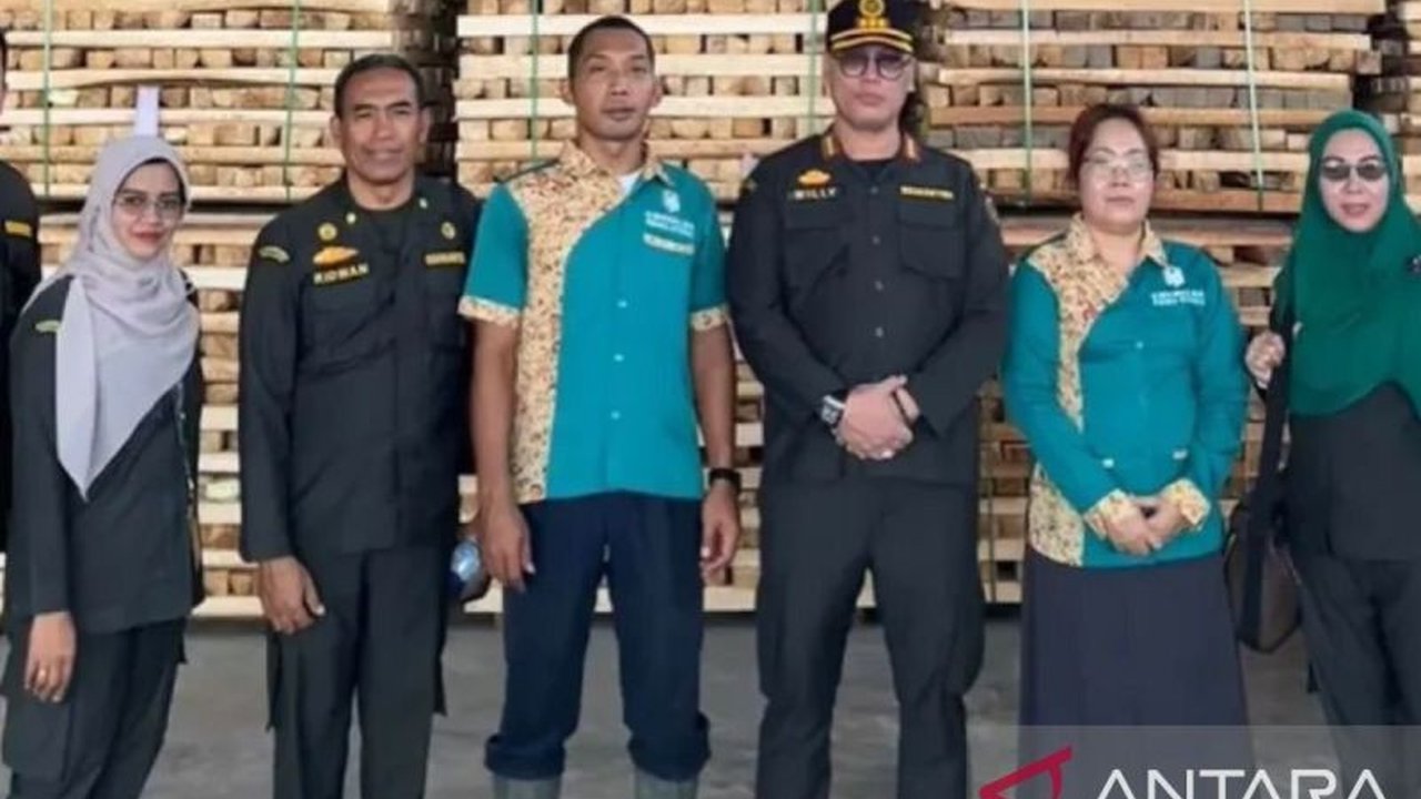 BKHIT Maluku gencar melakukan pendampingan intensif kepada pelaku usaha di Seram Bagian Timur untuk mengoptimalkan potensi Ekspor Kayu Balsa Maluku ke pasar internasional, menjanjikan nilai ekonomi tinggi.