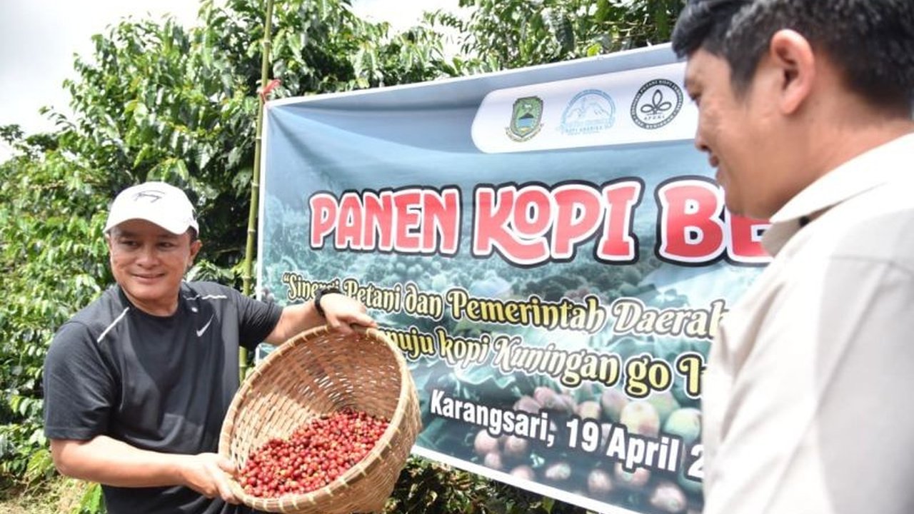 Kopi Kuningan menunjukkan kualitas bersaing di kancah internasional, membuka peluang besar untuk menembus pasar global, didukung peningkatan mutu dan ekosistem produksi.