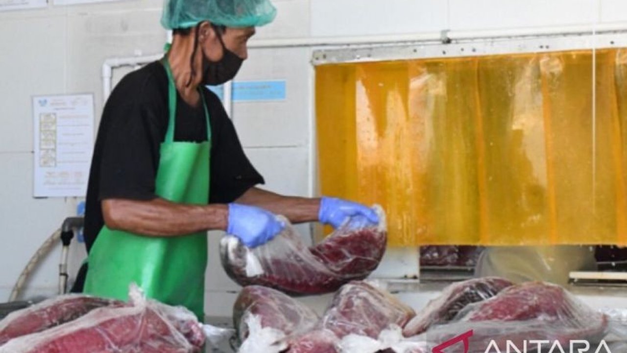 Pelabuhan Perikanan Nusantara (PPN) Ambon terus berupaya meningkatkan Kualitas Ekspor Perikanan Ambon dengan inspeksi kepatuhan pelaku usaha, memastikan standar mutu global terpenuhi dan daya saing produk di pasar internasional.