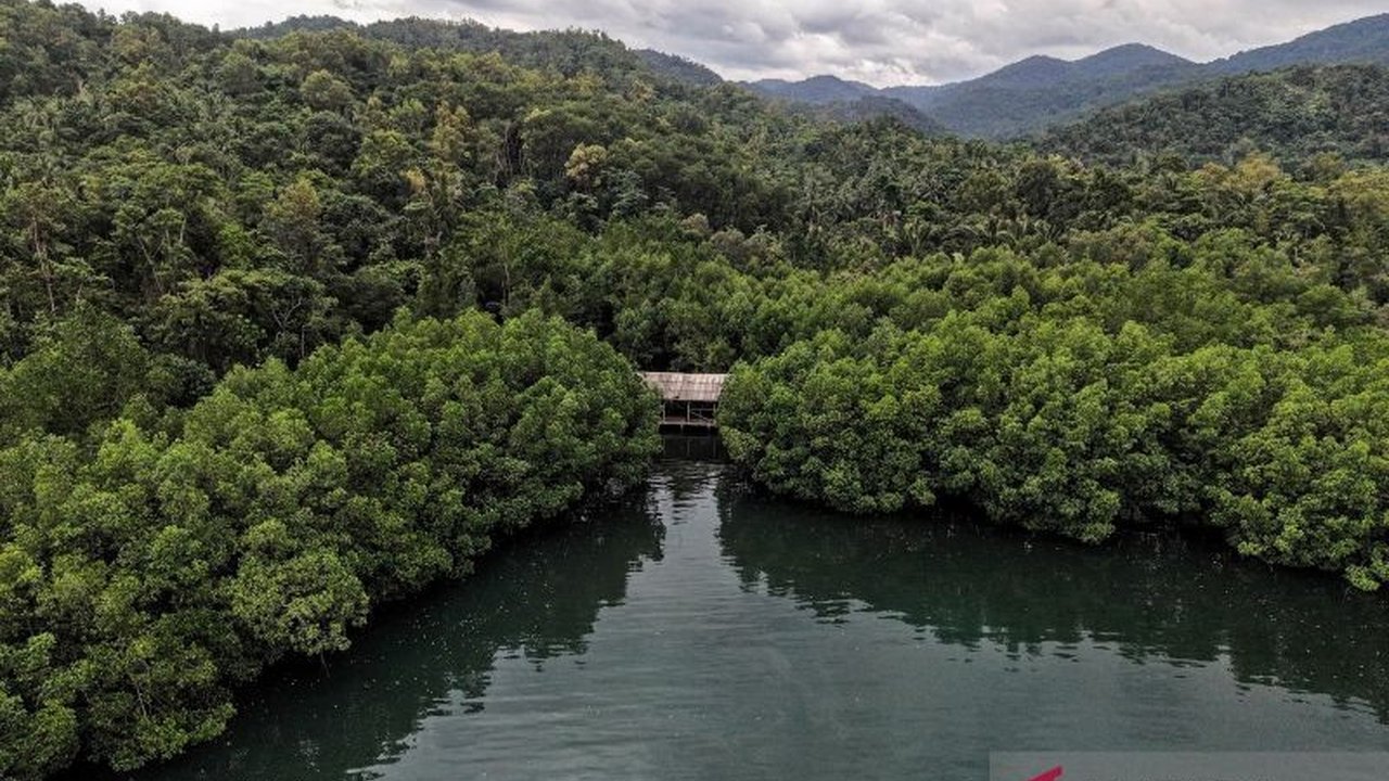 Permenhut 6/2026 menjadi sorotan utama, dinilai memberikan kejelasan dan stabilitas bagi pengusaha proyek karbon, siap menempatkan Indonesia di garis depan pasar global.