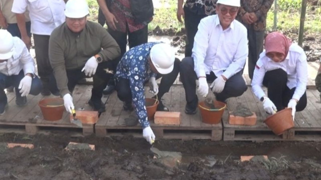 Koperasi Petani Tuah Selebar Daun di Banyuasin berinisiatif membangun SPBU Pertanian Satu Harga untuk mengatasi kelangkaan dan tingginya harga BBM bagi petani, menjamin pasokan energi saat panen.