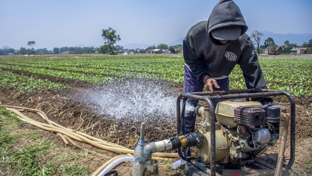 Program pompanisasi di Temanggung terbukti efektif memperluas lahan produksi padi dan meningkatkan produktivitas, menjadi solusi pertanian di tengah tantangan irigasi.