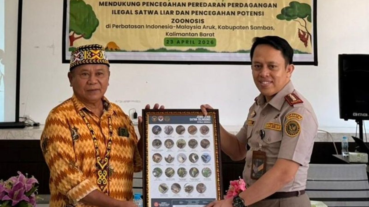 Balai Karantina Hewan, Ikan, dan Tumbuhan Kalimantan Barat (Karantina Kalbar) memperkuat sinergi lintas sektor guna mencegah perdagangan satwa liar ilegal dan ancaman zoonosis di perbatasan Indonesia-Malaysia.