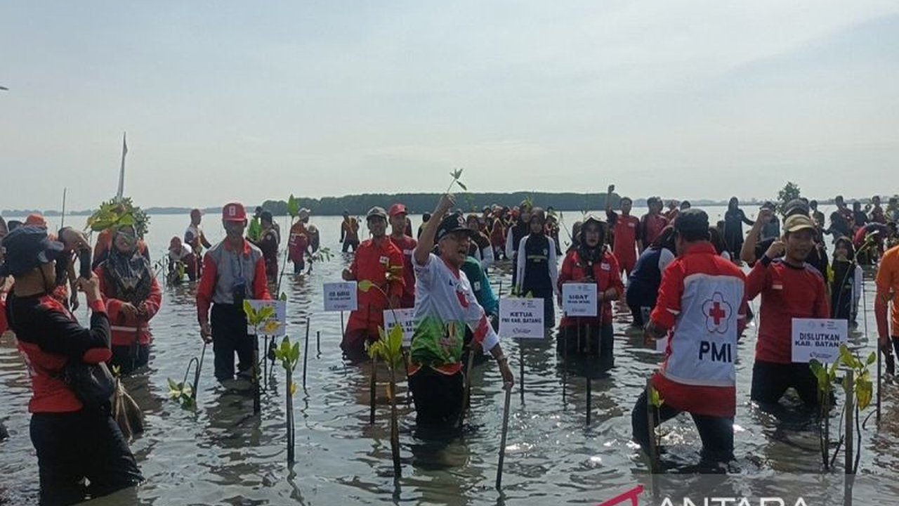 PMI Kabupaten Batang bersama lintas sektor berinovasi mengubah lahan rob seluas 300 hektare menjadi objek wisata perikanan. Inisiatif PMI Batang Wisata Perikanan Rob ini bertujuan meningkatkan kesejahteraan masyarakat sekaligus meminimalisir dampak abrasi
