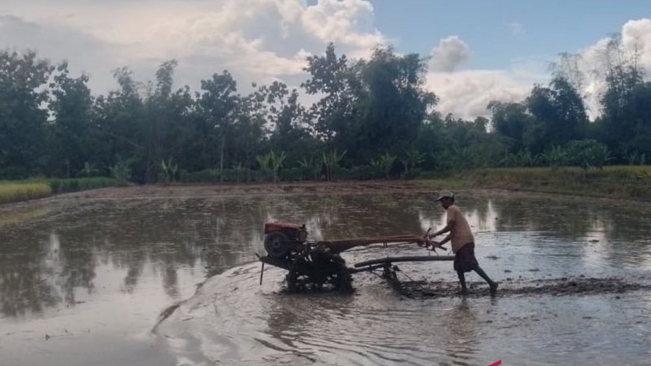 Pemerintah Kabupaten Blora menyalurkan 1,1 juta kilogram bantuan benih padi dan jagung dari APBN 2025, sebagai bagian dari program peningkatan produksi pertanian nasional. Simak detail lengkap Bantuan Benih Blora ini dan dampaknya bagi petani.