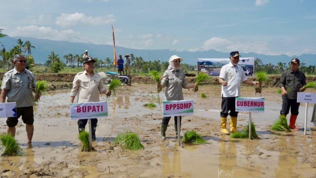 Kementerian Pertanian (Kementan) menggenjot program tanam padi serentak seluas 50 ribu hektare di 25 provinsi untuk menjaga produksi pangan nasional dan menghadapi ancaman kemarau.