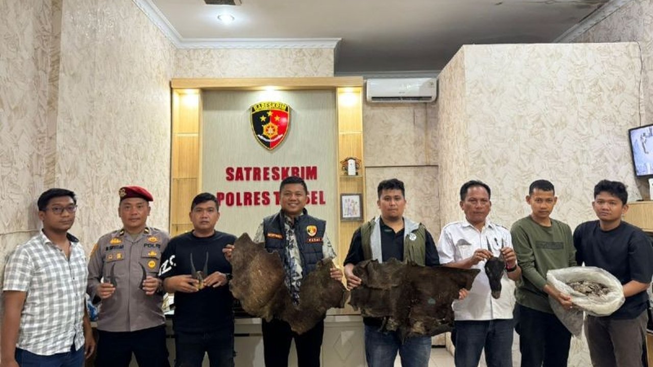 Polres Tapanuli Selatan tengah mendalami kasus dugaan perdagangan ilegal sisik trenggiling dan satwa dilindungi lainnya, setelah mengamankan seorang pria di wilayah tersebut.