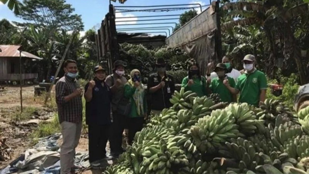Dinas Pangan, Tanaman Pangan, dan Hortikultura (DPTPH) Kalimantan Timur mendorong **diversifikasi pangan lokal Kaltim** untuk mengatasi ancaman gagal panen akibat perubahan iklim, sekaligus mengurangi ketergantungan pada beras.