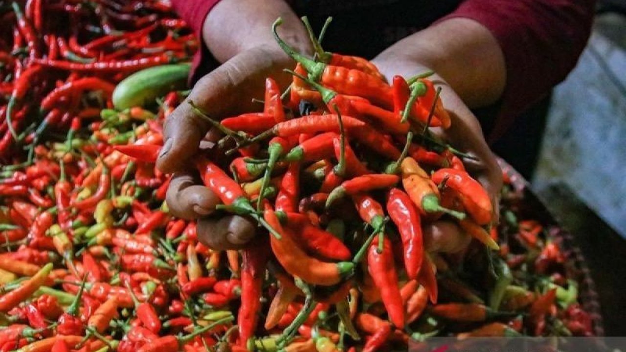 Pusat Informasi Harga Pangan Strategis (PIHPS) Nasional merilis data terbaru harga pangan nasional pada 9 Mei, menunjukkan cabai rawit merah mencapai Rp65.350/kg dan telur ayam ras Rp31.150/kg, memicu perhatian publik.
