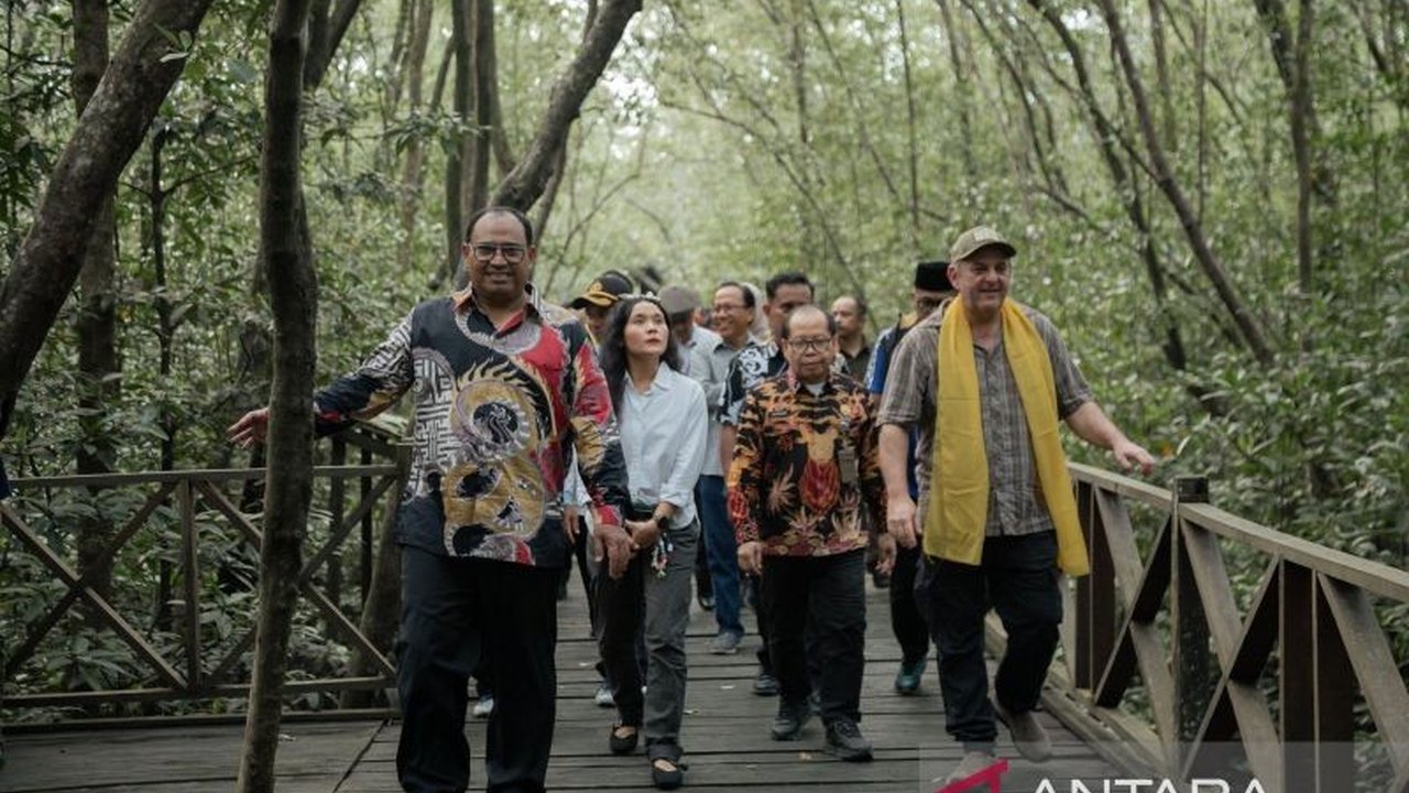 Program Mangrove for Coastal Resilience (M4CR) menyalurkan dana hibah Rp140 juta untuk memperkuat pengembangan Ekowisata Mangrove Penajam di Kelurahan Kampung Baru, Penajam Paser Utara, demi kelestarian lingkungan dan ekonomi pesisir.