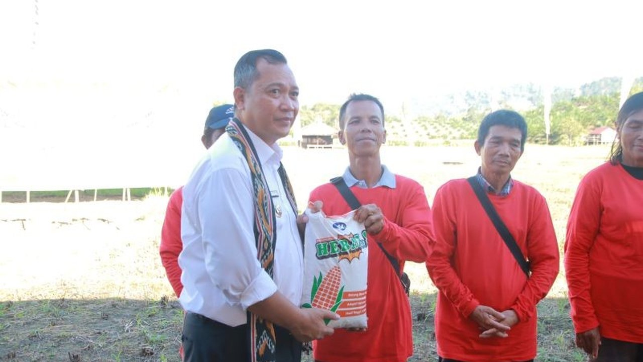 Bupati Sebastianus Darwis menegaskan komitmen Pemkab Bengkayang dalam Penguatan Sektor Pertanian Bengkayang sebagai penopang ekonomi utama, sekaligus mendukung swasembada pangan nasional.