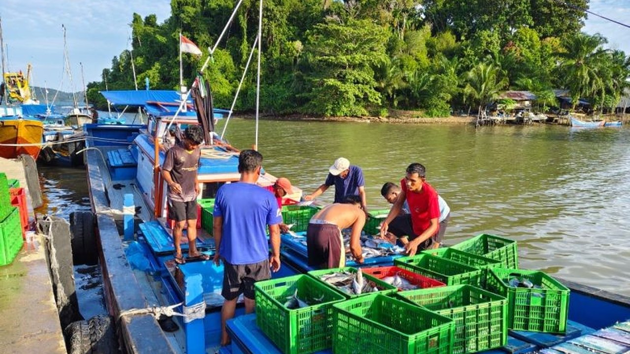 Ketersediaan BBM Nelayan Aceh Jaya menjadi sorotan setelah para nelayan mengeluhkan antrean panjang dan terbatasnya kuota solar, menghambat aktivitas melaut mereka.