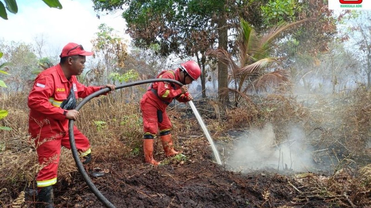 Tim gabungan Manggala Agni terus berupaya keras memadamkan Karhutla di Pelalawan Riau yang telah melahap sekitar 4 hektare lahan, dengan api yang masih aktif di beberapa titik. Simak detail upaya penanganannya.