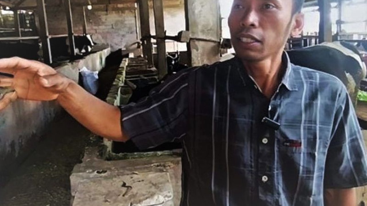 Peternak sapi perah di Magetan berhasil mengubah limbah kotoran ternak menjadi biogas, solusi energi alternatif dan pupuk organik. Inovasi Biogas Kotoran Ternak Magetan ini mengurangi ketergantungan LPG dan mendukung pertanian ramah lingkungan.