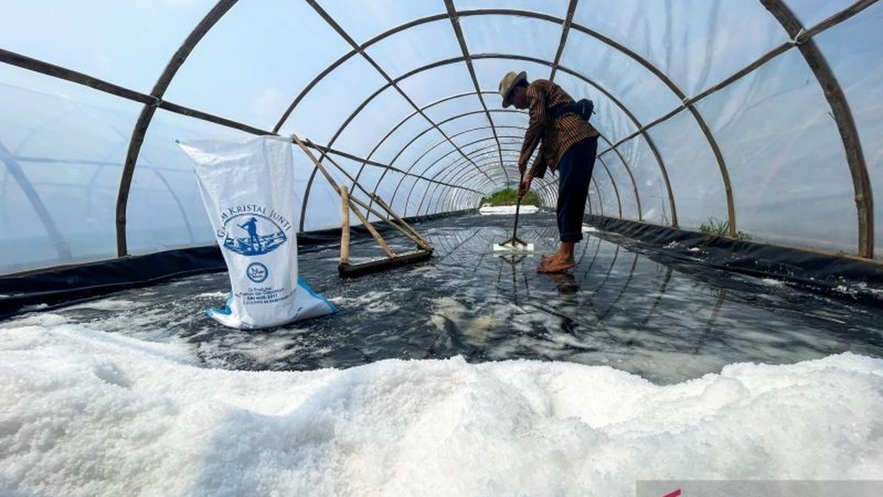 Petani di Desa Juntinyuat, Indramayu, berhasil memanen garam kristal berkualitas tinggi berkat inovasi teknologi tunnel dan Sea Water Reverse Osmosis (SWRO), membuka harapan baru bagi perekonomian pesisir dan swasembada garam nasional.