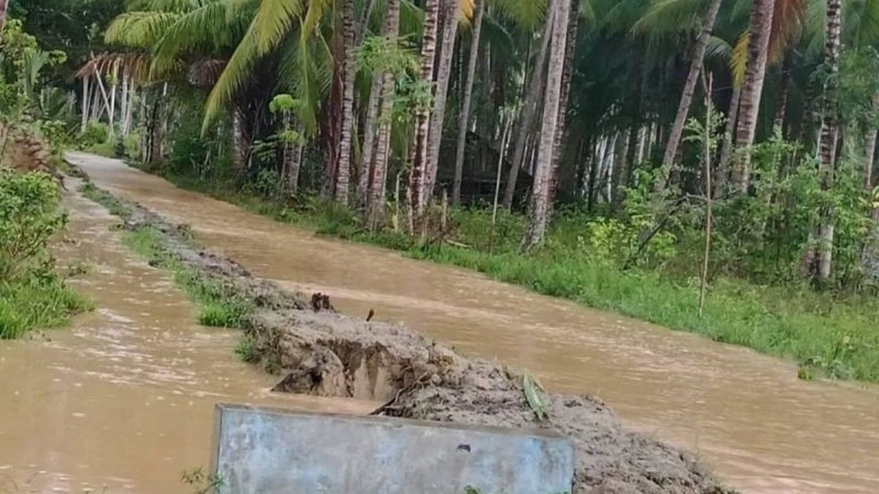 BPBD Sulawesi Tengah melaporkan dua desa di Kecamatan Moutong, Parigi Moutong, terendam banjir setelah hujan deras. Penanganan darurat tengah dilakukan untuk mengatasi dampak **banjir Parigi Moutong**.