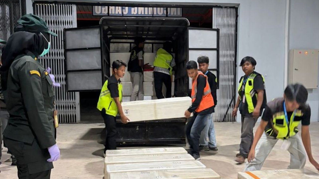 Balai Karantina Hewan, Ikan dan Tumbuhan (BKHIT) Kalimantan Utara (Kaltara) serius mendorong peningkatan ekspor langsung komoditas unggulan daerah melalui jalur laut dan udara, membuka peluang pasar global yang lebih luas.