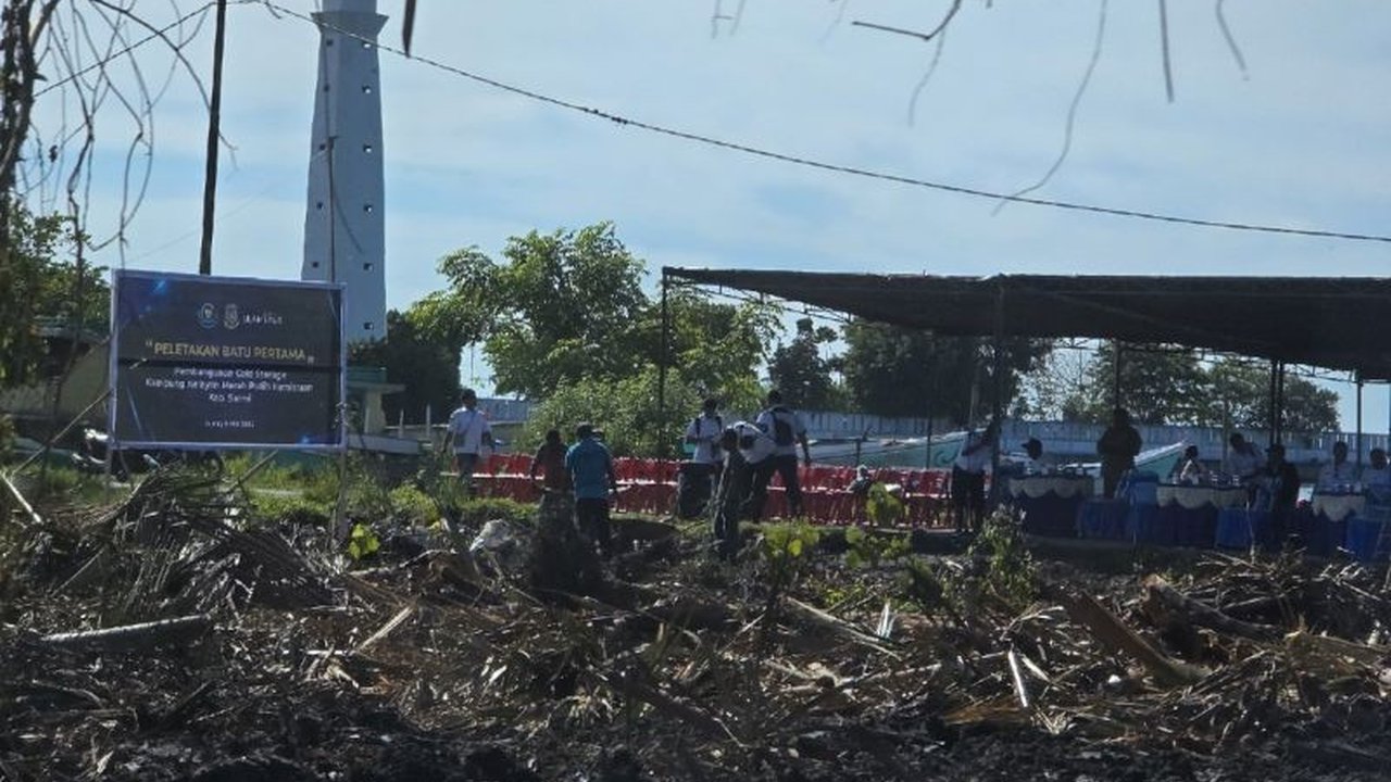 Pemprov Papua serius menggarap potensi maritim dengan penguatan rantai distribusi perikanan, menjamin hasil tangkapan nelayan terserap optimal dan membuka peluang ekspor berkelanjutan.
