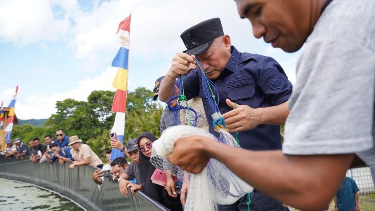 Pemerintah Provinsi Maluku Utara berhasil menggelar panen perdana 1,5 ton udang vaname, sebuah langkah strategis untuk mendongkrak pendapatan asli daerah (PAD) sekaligus meningkatkan kesejahteraan masyarakat nelayan di wilayah tersebut.