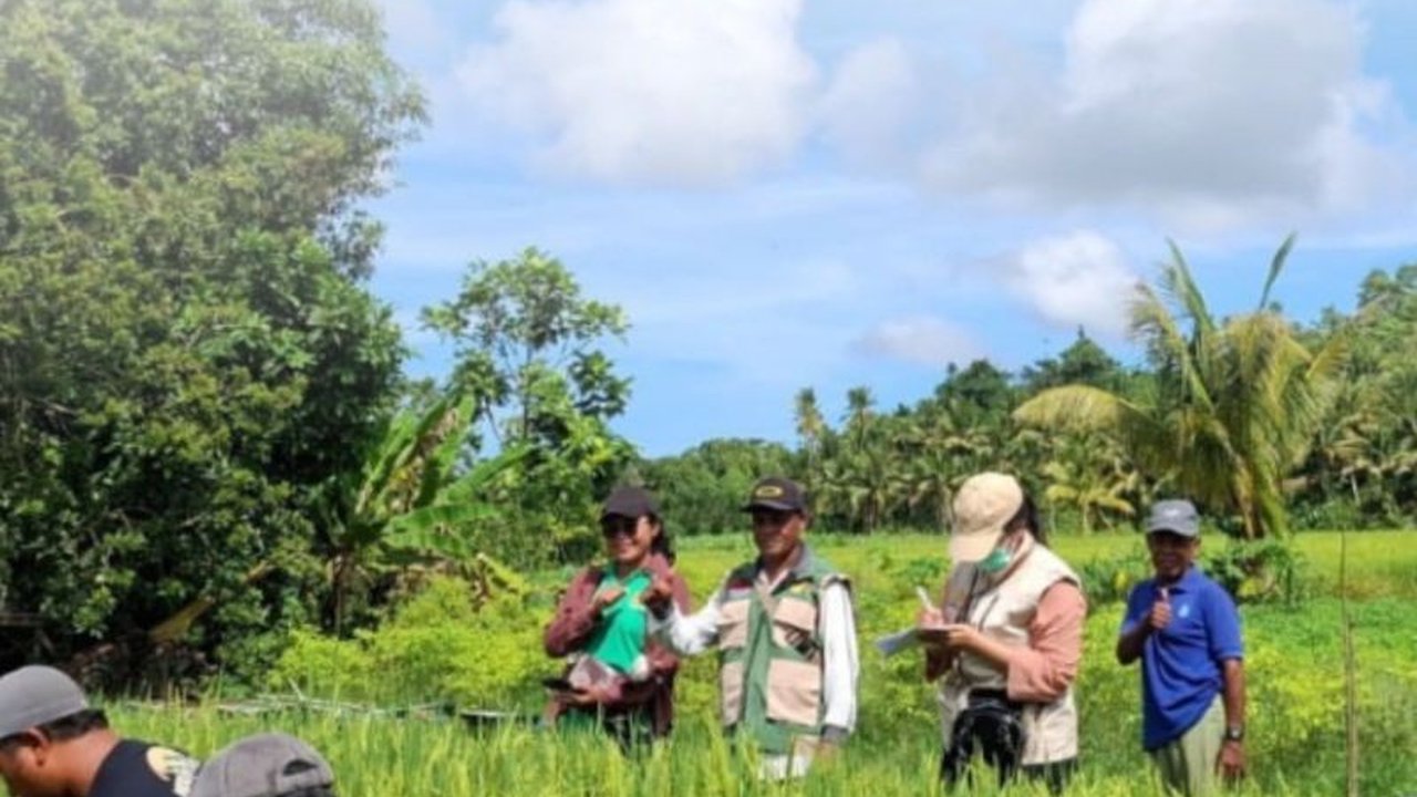 Balai Besar Penerapan Modernisasi Pertanian (BBRMP) Maluku menggandeng petani dan penyuluh untuk kawal mutu benih padi di Seram Bagian Barat, memastikan ketahanan pangan di Maluku.