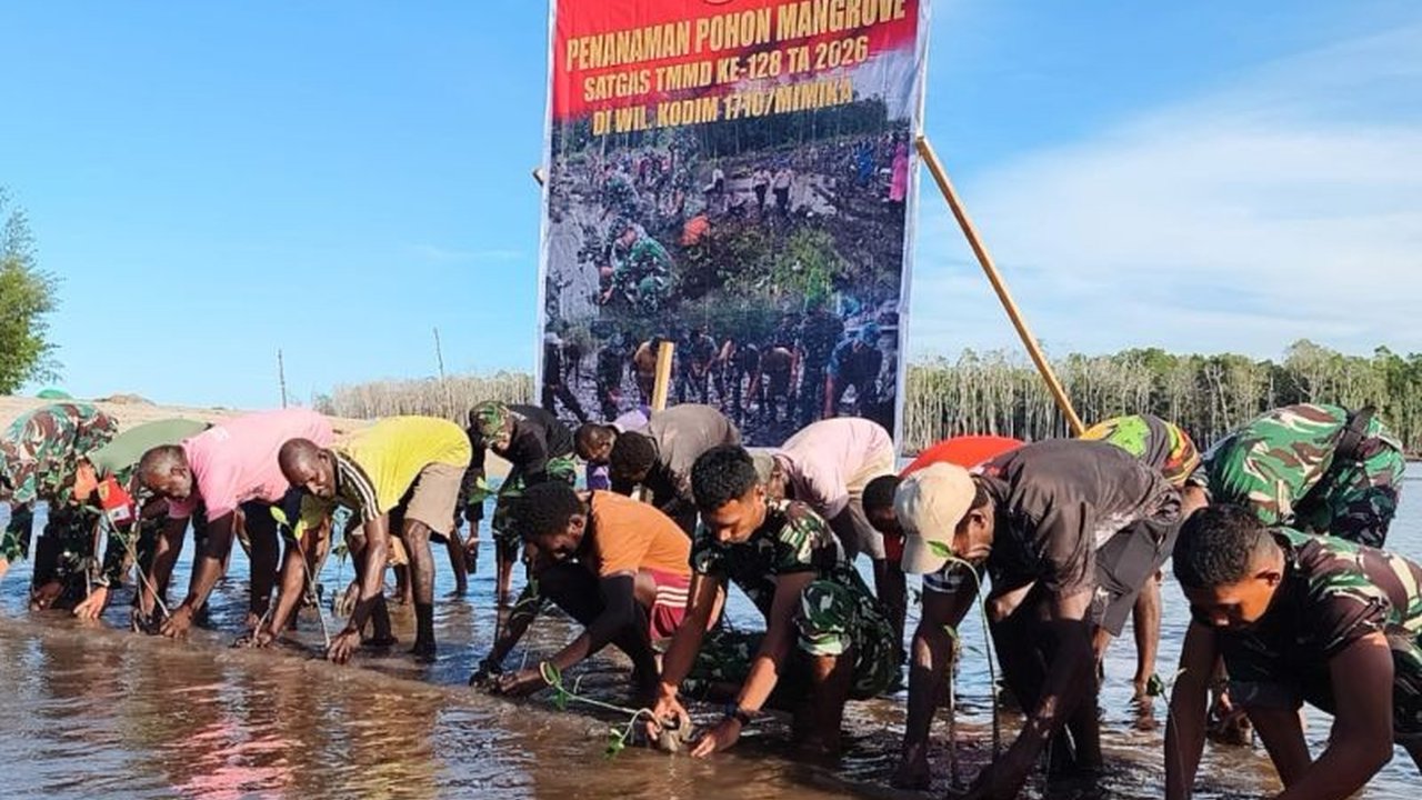 Satgas TMMD ke-128 Kodim 1710/Mimika bersama warga Kampung Kekwa menanam ribuan bibit mangrove sebagai upaya pelestarian lingkungan dan mencegah abrasi. Penanaman Mangrove TNI ini menunjukkan kepedulian terhadap ekosistem pesisir.