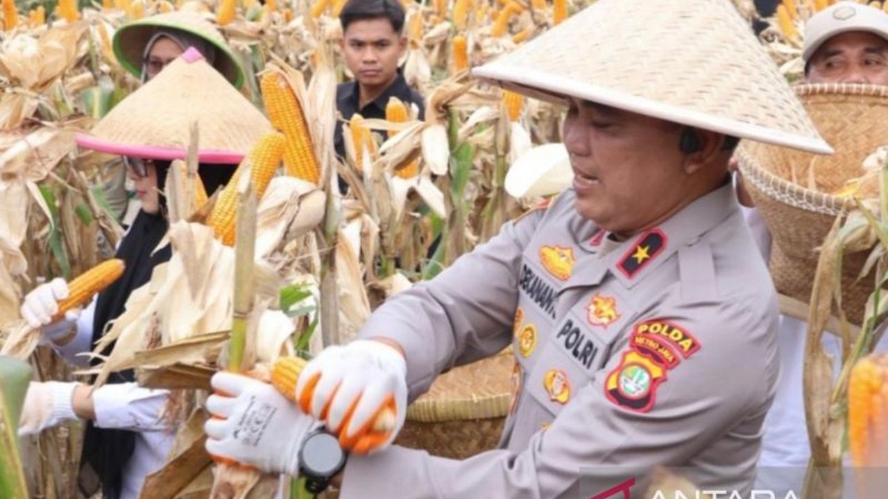 Polda Metro Jaya menunjukkan komitmennya dalam mendukung ketahanan pangan nasional melalui panen jagung di Cisauk dan peresmian Satuan Pelayanan Pemenuhan Gizi (SPPG) Polri, sejalan dengan program prioritas pemerintah.