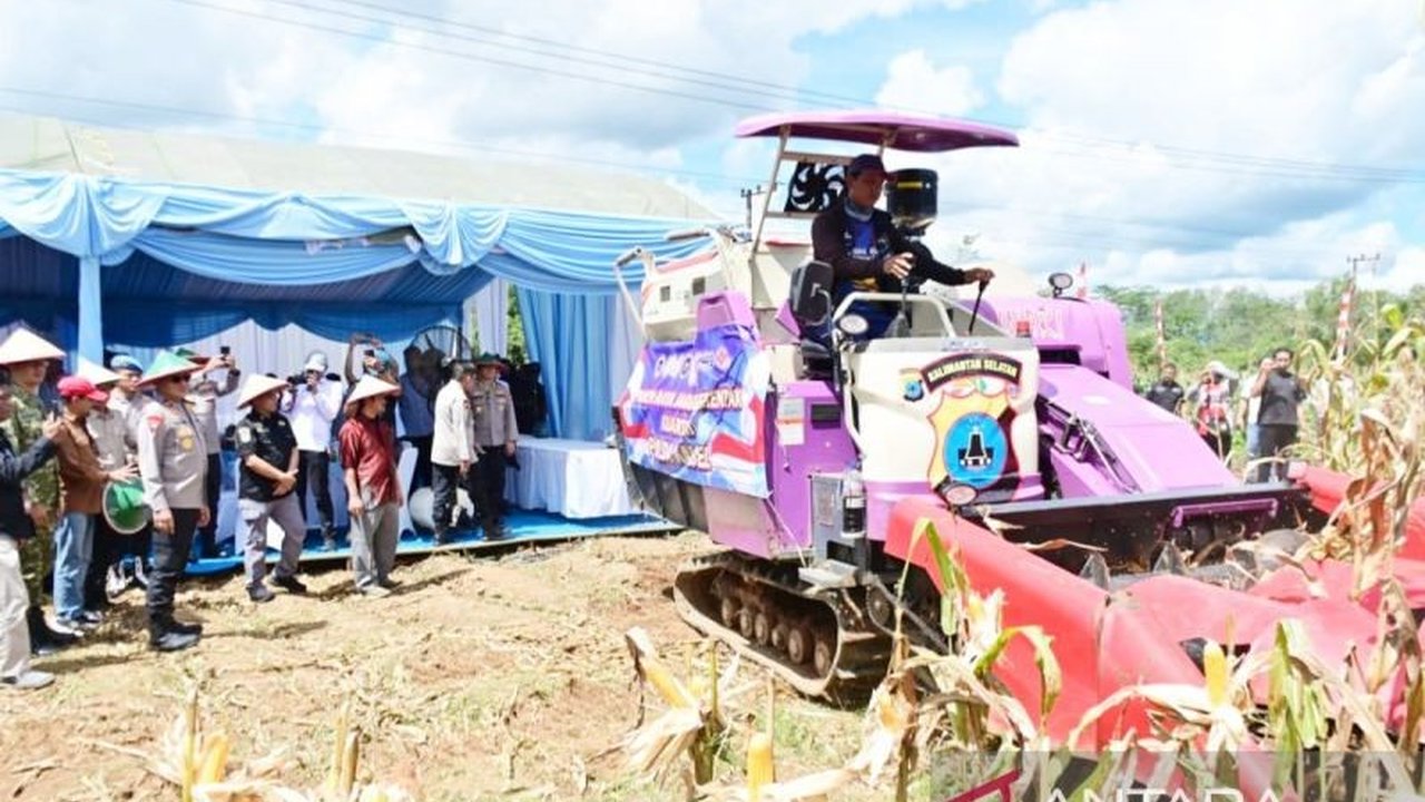 Polda Kalsel dan jajaran berhasil memanen 100 ton jagung pada panen raya serentak kuartal II 2026, sebuah langkah signifikan dalam mendukung program Ketahanan Pangan Polda Kalsel.