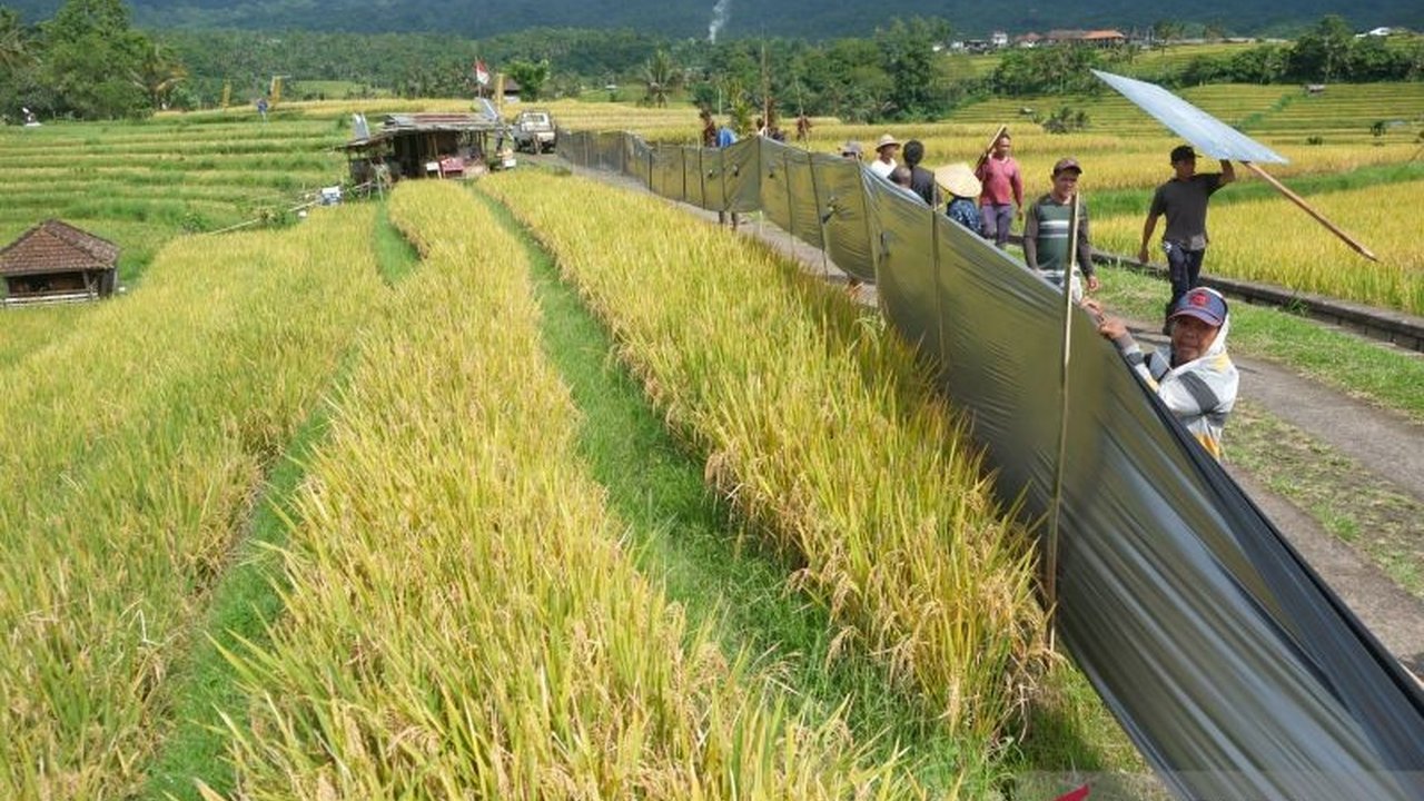 Indonesia menegaskan komitmennya untuk memperkuat kerja sama Ketahanan Pangan dan Energi ASEAN, menghadapi gangguan rantai pasok global dan fluktuasi harga komoditas akibat ketegangan geopolitik yang terus meningkat.