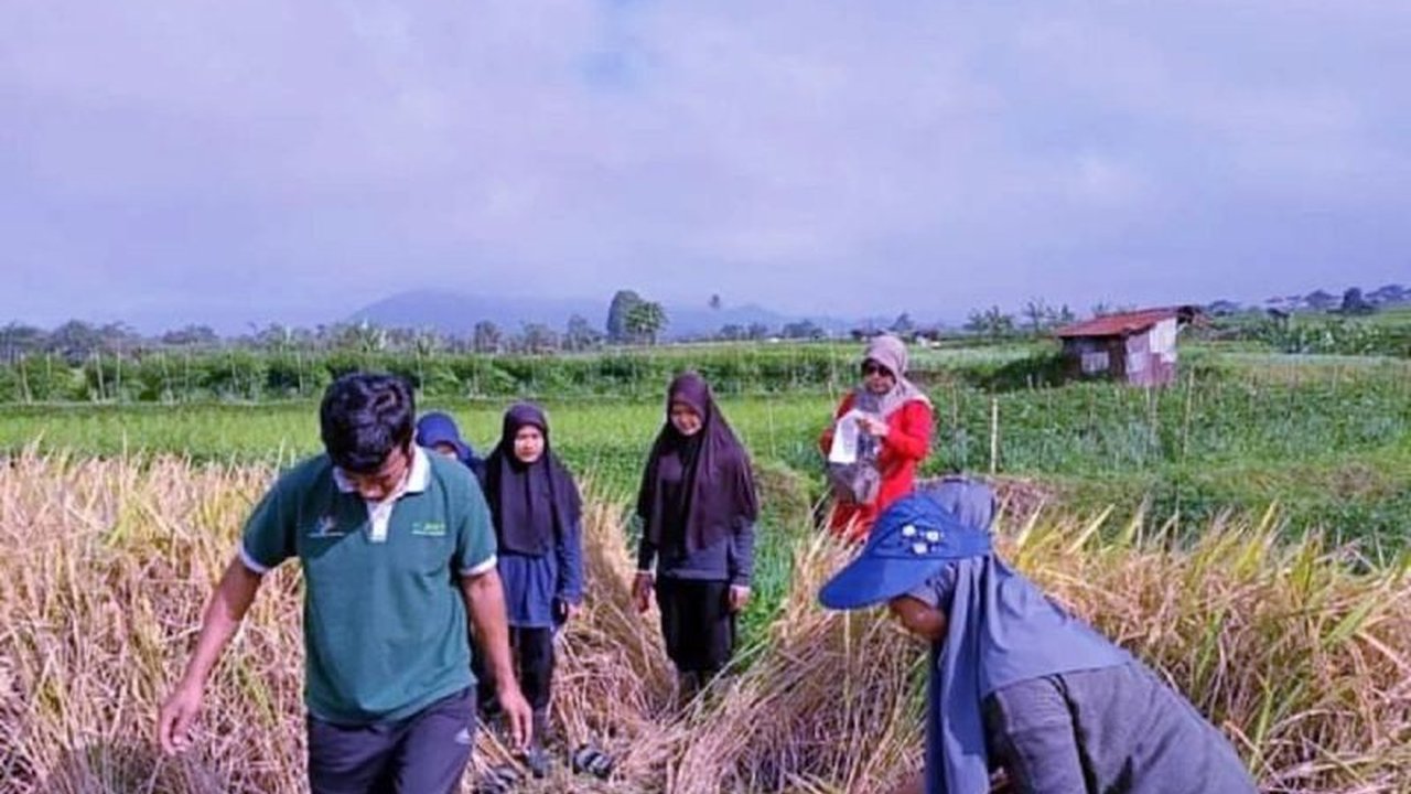 OJK merilis data kinerja industri asuransi umum dan reasuransi per Maret 2026. Laba asuransi umum tumbuh positif, namun sektor reasuransi tertekan gejolak geopolitik global. Simak detailnya.