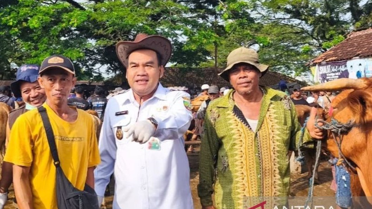 Jelang Idul Adha 1447 H, Bupati Blora Arief Rohman meninjau Pasar Pon untuk memantau lonjakan transaksi hewan kurban dan memastikan kesehatan ternak, sekaligus menyerap aspirasi peternak demi kesejahteraan lokal.