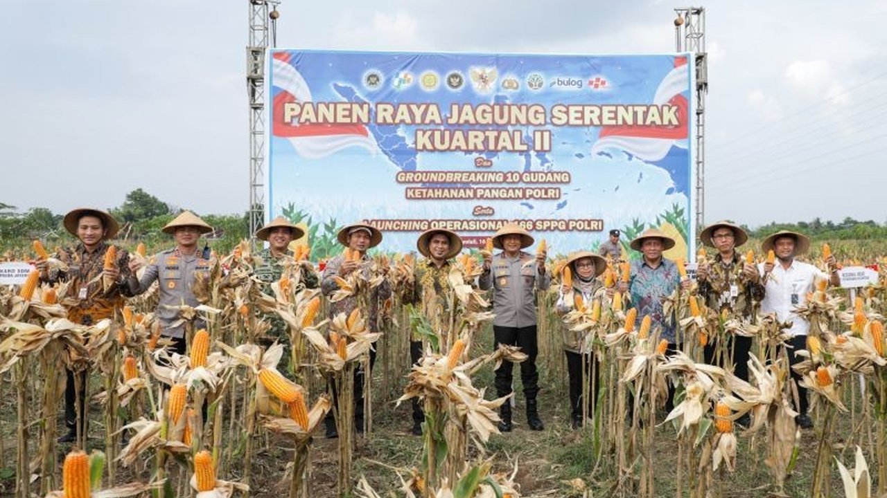 Pemerintah Provinsi Jawa Tengah mencatat Produksi Padi Jateng hingga awal April 2026 telah mencapai 4,16 juta ton GKG, menunjukkan tren positif dalam upaya mencapai target tahunan 10,5 juta ton GKG dan memperkuat ketahanan pangan nasional.