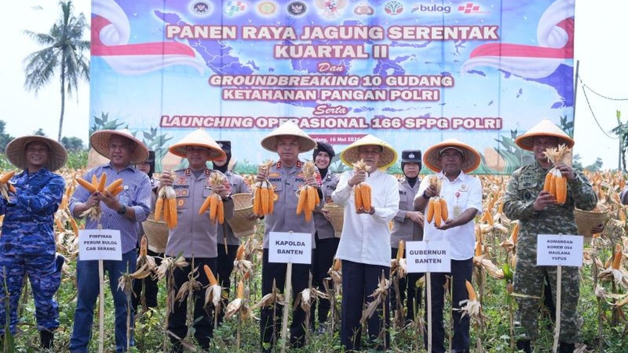 Polda Banten sukses panen jagung 29,5 ton di Kuartal II 2026, menegaskan komitmen dalam mendukung ketahanan pangan nasional. Simak detail kolaborasi lintas sektor yang menginspirasi ini.