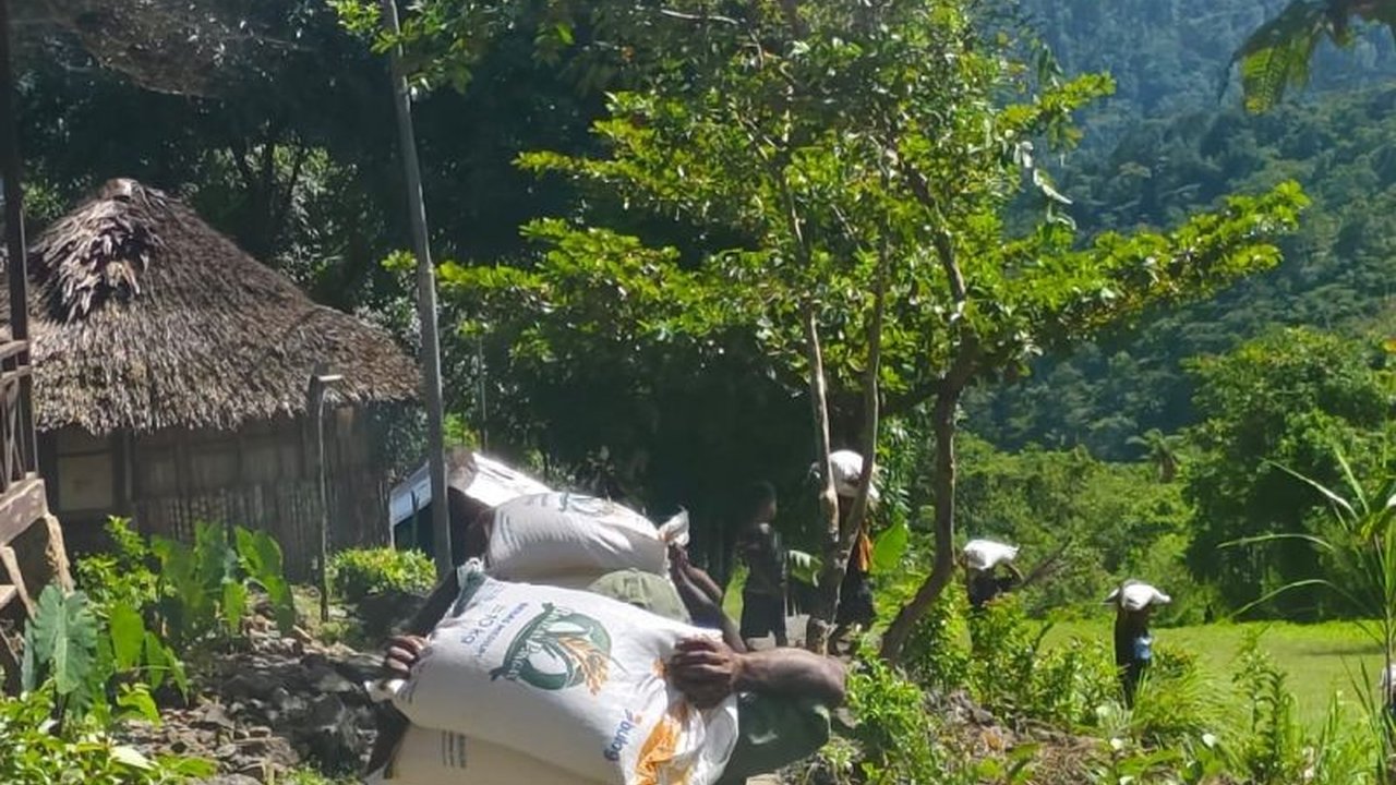 Perum Bulog terus berupaya keras memastikan ketersediaan pangan di Pegunungan Bintang, Papua Pegunungan, menghadapi tantangan geografis ekstrem dan biaya distribusi tinggi demi masyarakat.