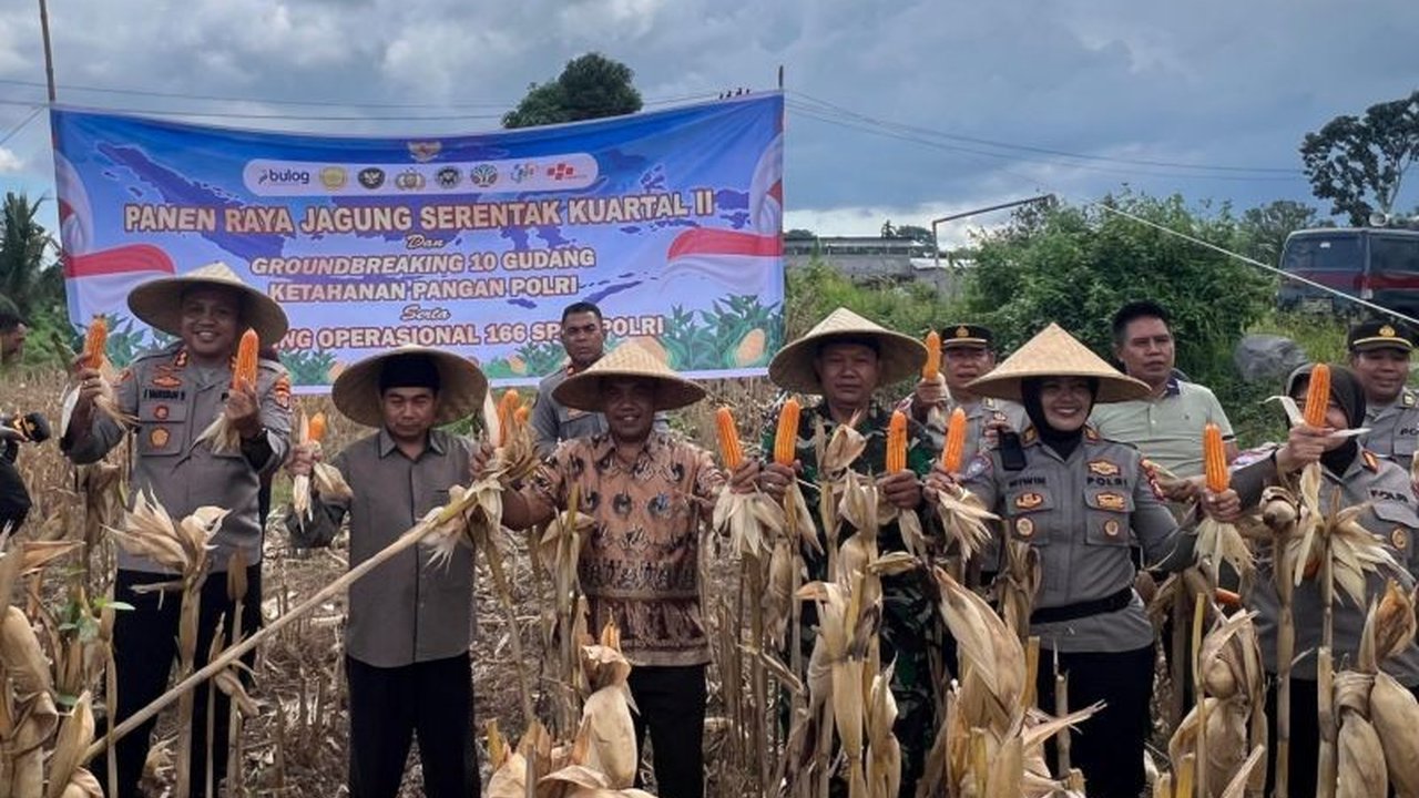 Polresta Mataram dukung Ketahanan Pangan Nasional lewat panen raya jagung di Lombok Barat. Inisiatif gudang dan layanan gizi Polri juga hadir demi kesejahteraan masyarakat.